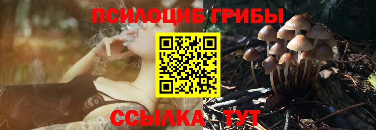 Псилоцибиновые грибы GOLDEN TEACHER  Вход с VPN  купить закладку  Холмск  Псилоцибиновые грибы Psilocybine cubensis 