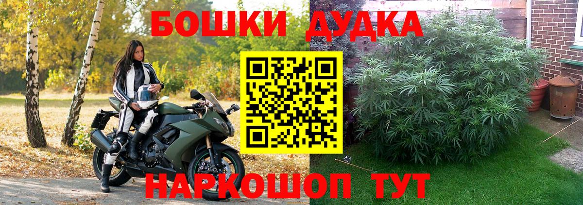 Канабис OG Kush  Бошки Шишки семена  Каннабис тримм  Вход с VPN  Холмск 